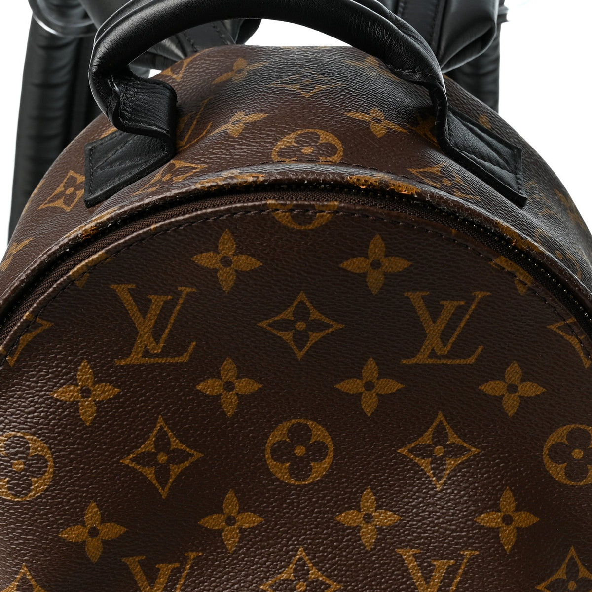 Monogram Palm Springs Backpack PM