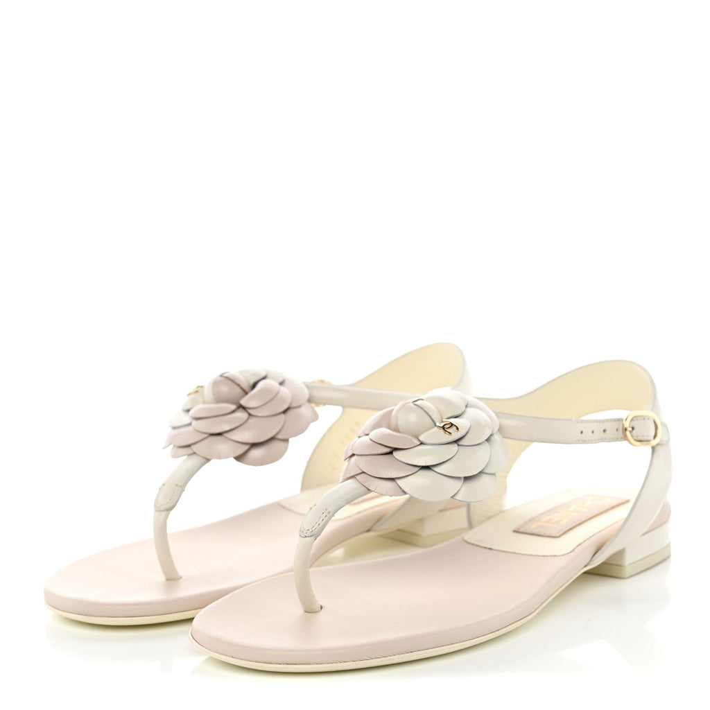Shiny Calfskin Camellia Thong Sandals 37 Ivory Beige