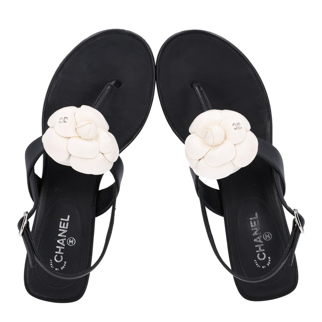 Lambskin Camellia Thong Sandals 36.5 Black White