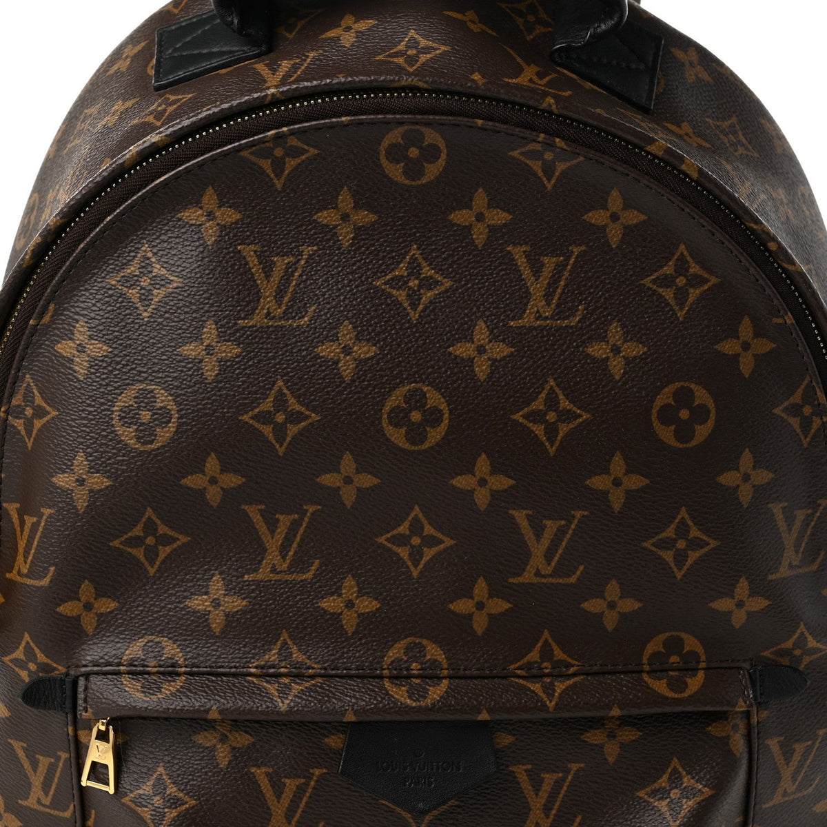 Monogram Palm Springs Backpack MM