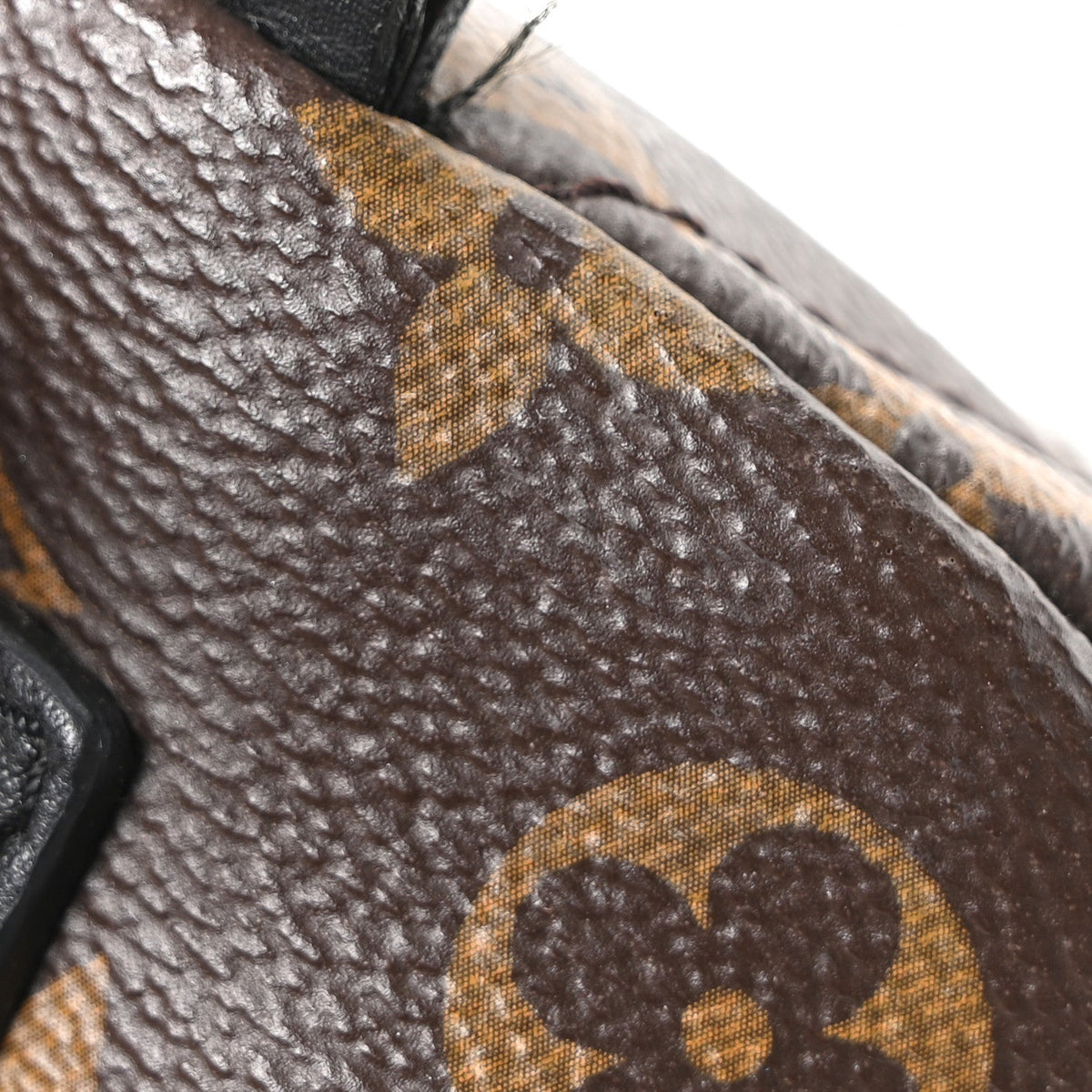 Monogram Palm Springs Backpack Mini