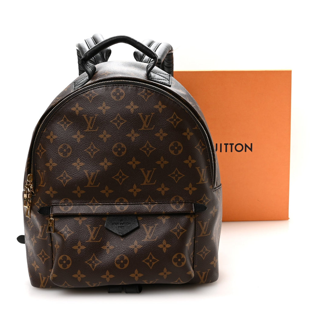 Monogram Palm Springs Backpack MM