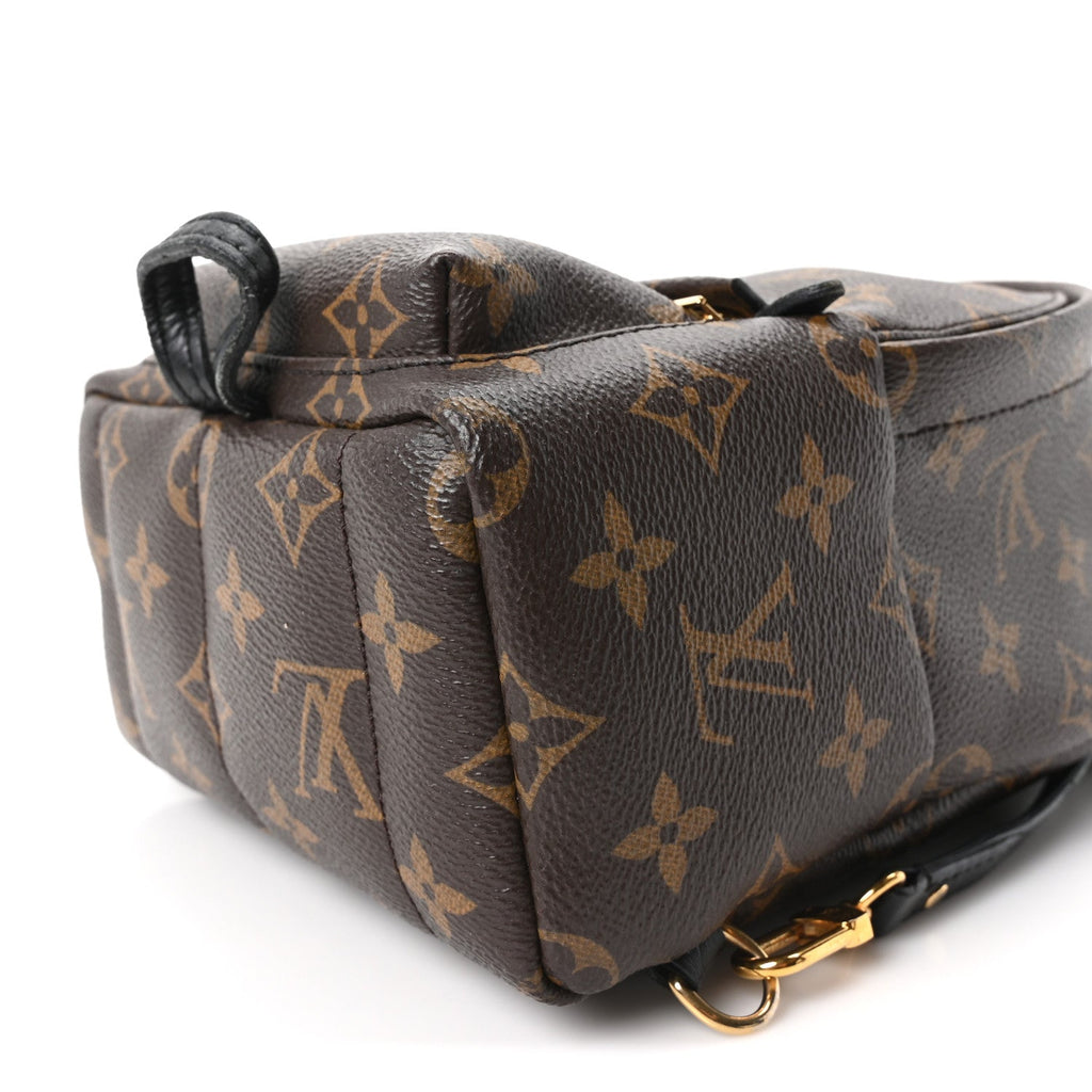Monogram Palm Springs Backpack Mini