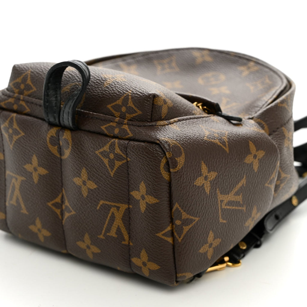 Monogram Palm Springs Backpack Mini