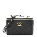 Goatskin Quilted Punk Essentials Vanity Case With Chain Black