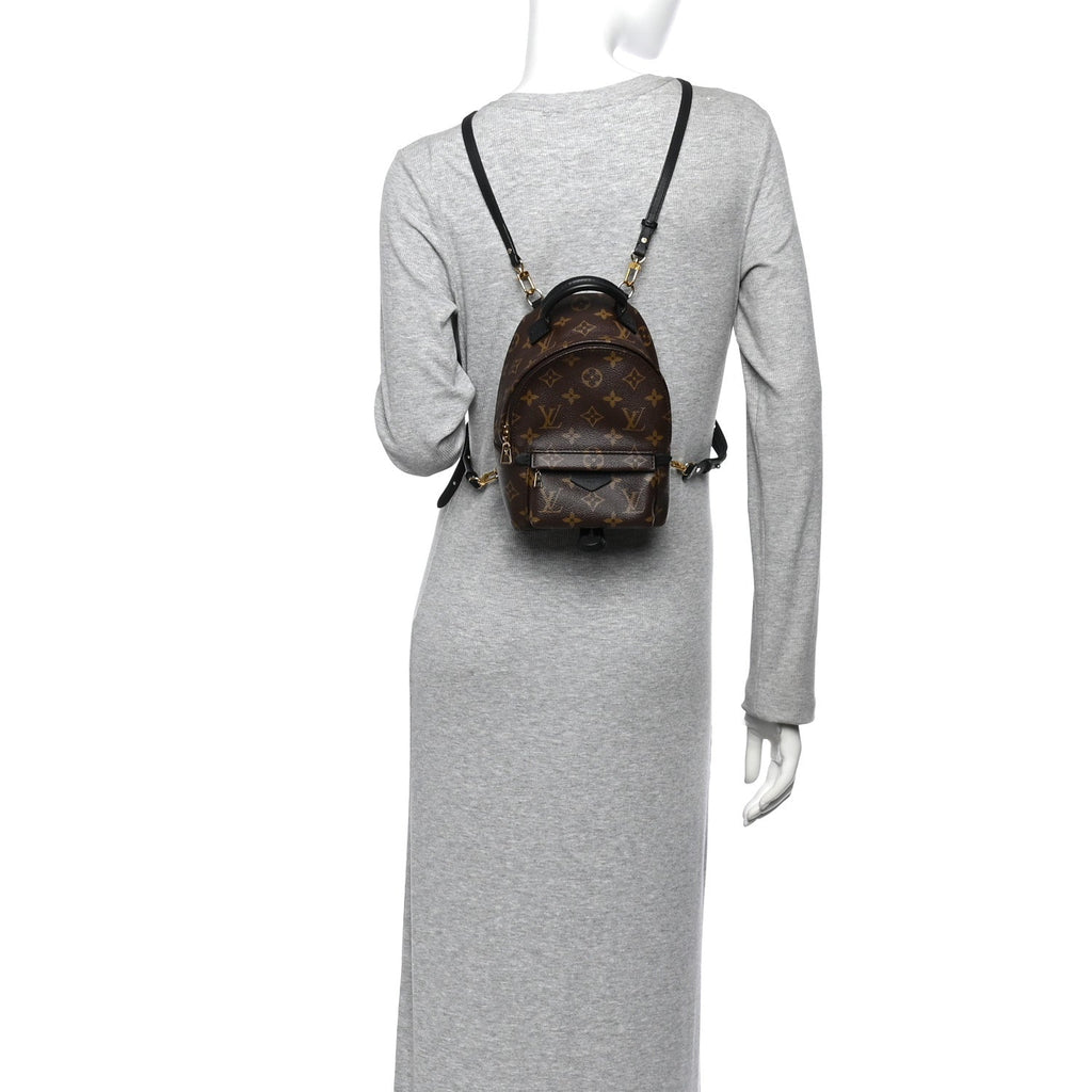 Monogram Palm Springs Backpack Mini