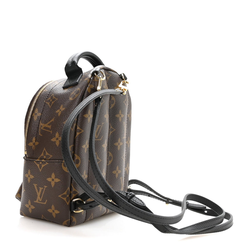 Monogram Palm Springs Backpack Mini