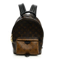 Reverse Monogram Palm Springs Backpack PM