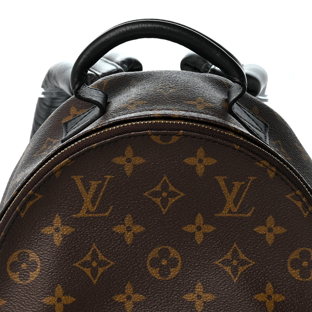Monogram Palm Springs Backpack PM