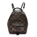 Monogram Palm Springs Backpack Mini