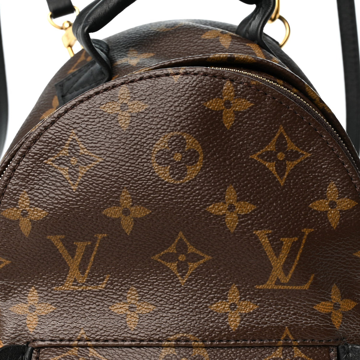 Monogram Palm Springs Backpack Mini