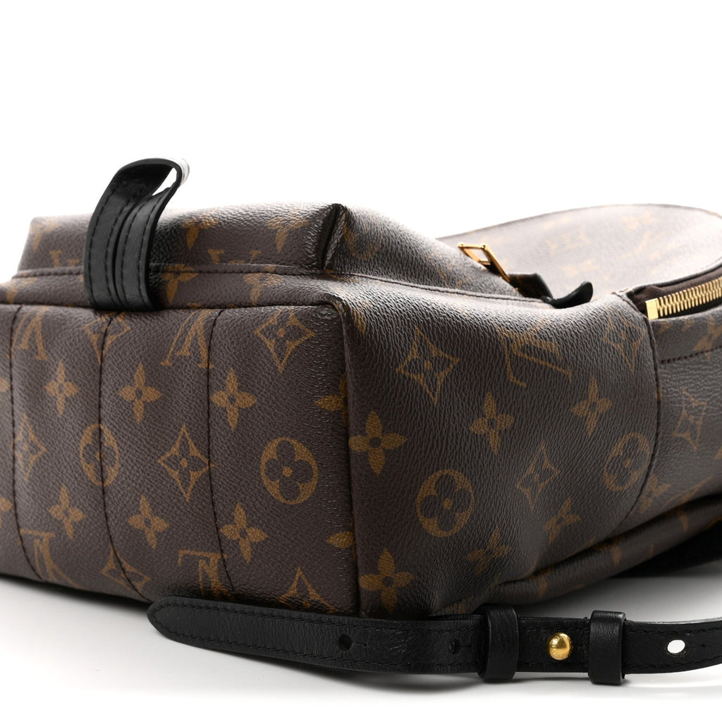 Monogram Palm Springs Backpack PM