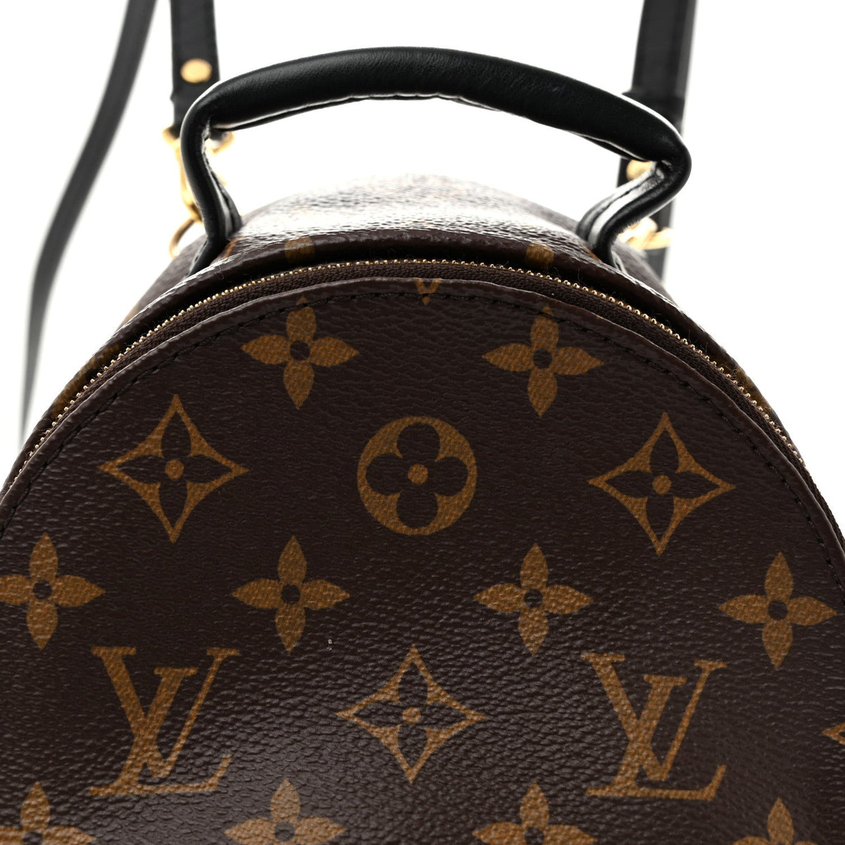 Monogram Palm Springs Backpack Mini