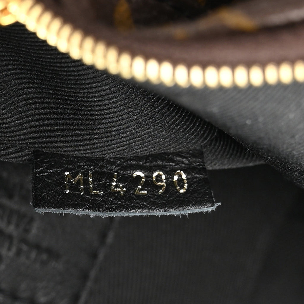 Monogram Palm Springs Backpack Mini