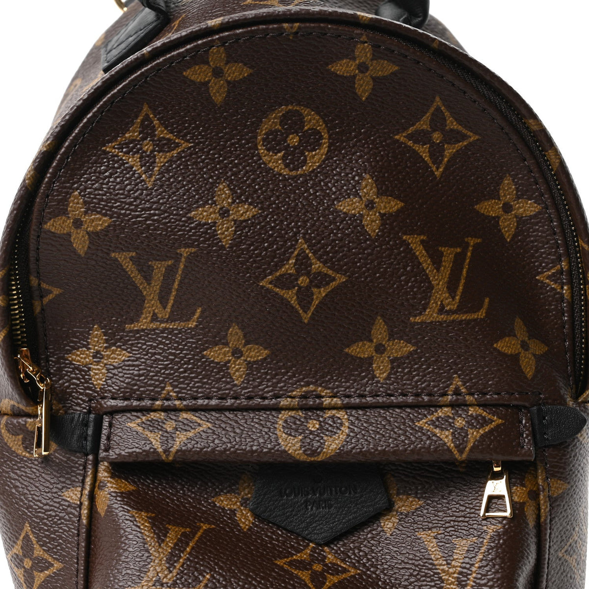 Monogram Palm Springs Backpack Mini