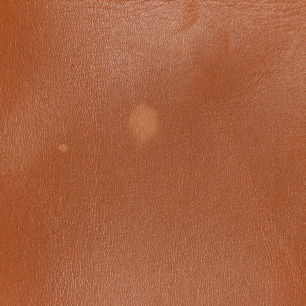 Natural Calfskin Seau Sangle Bucket Bag Tan