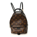 Monogram Palm Springs Backpack Mini