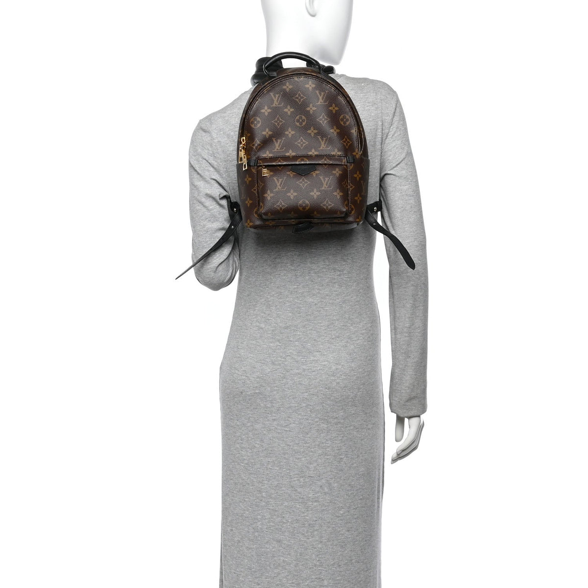 Monogram Palm Springs Backpack PM