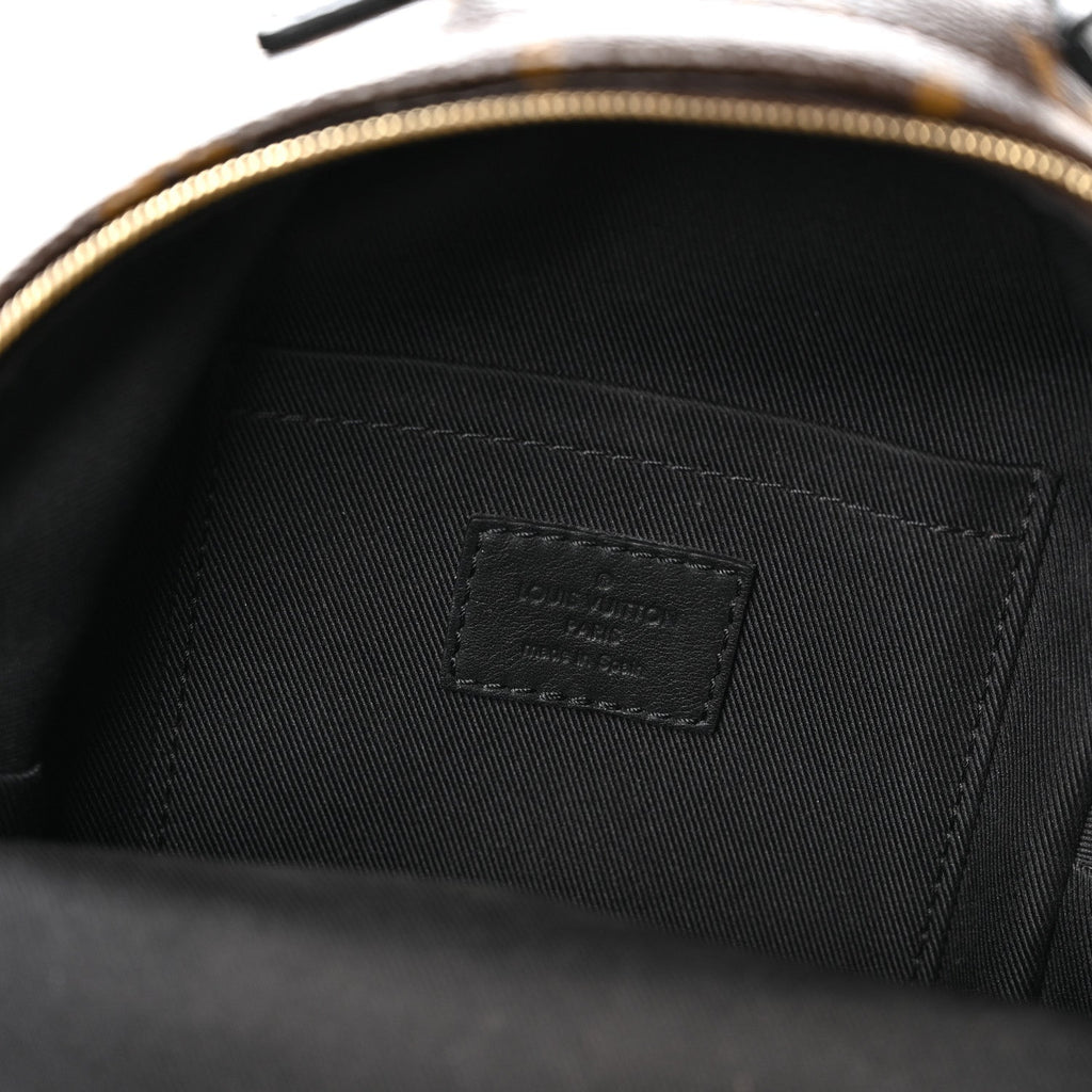 Monogram Palm Springs Backpack Mini