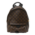 Monogram Palm Springs Backpack MM