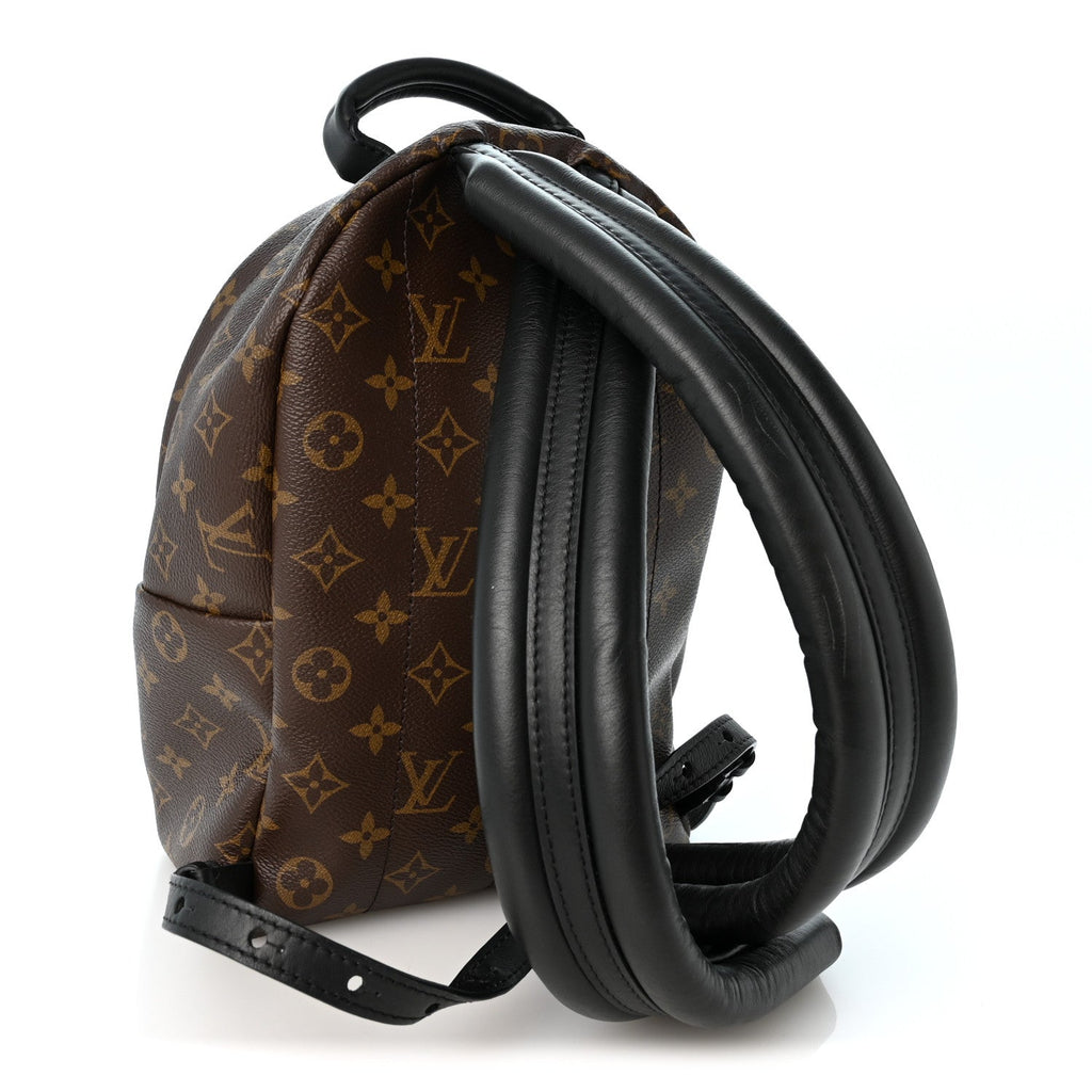 Monogram Palm Springs Backpack PM