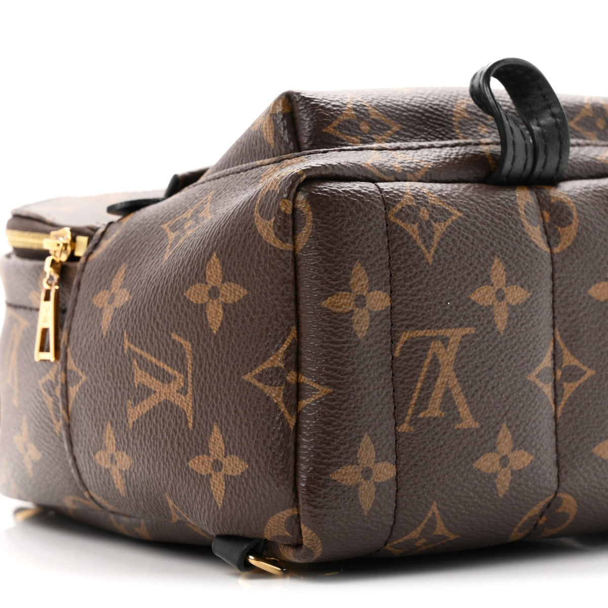 Monogram Palm Springs Backpack Mini
