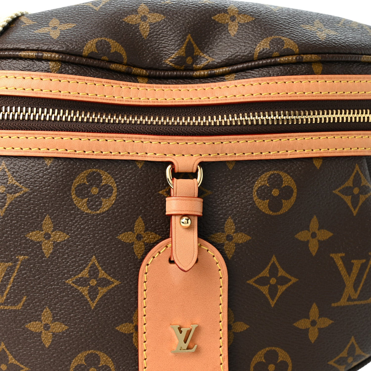 Monogram High Rise Bumbag