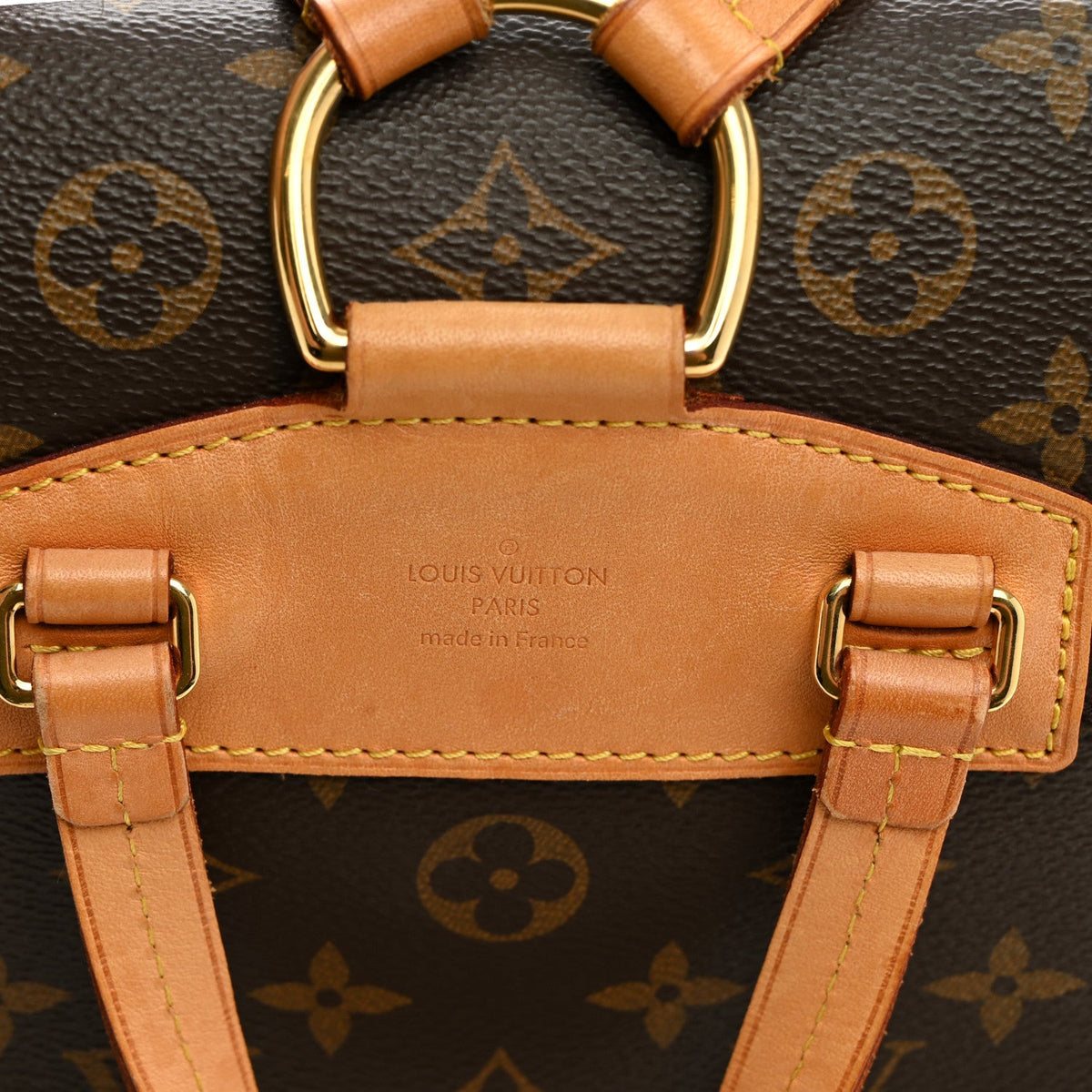 Monogram Montsouris NM Backpack