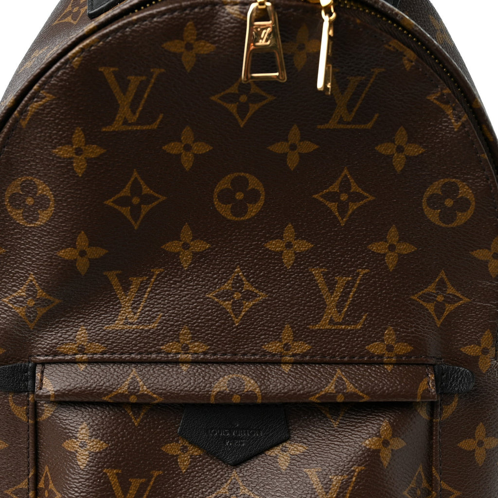 Monogram Palm Springs Backpack PM