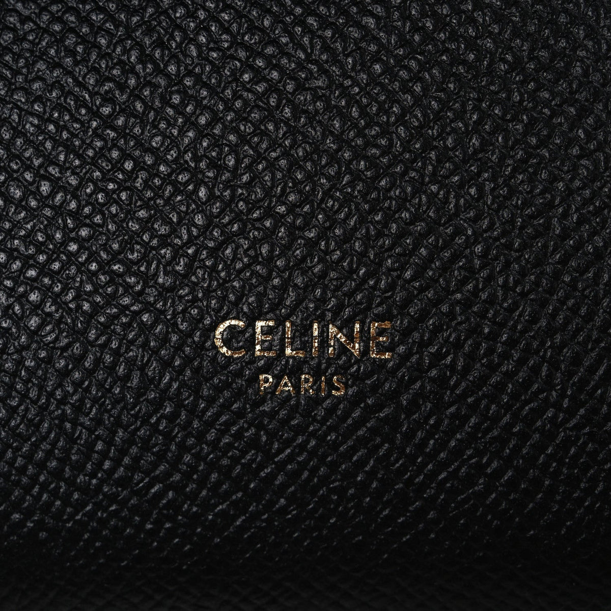 Grained Calfskin Pico Belt Bag Black