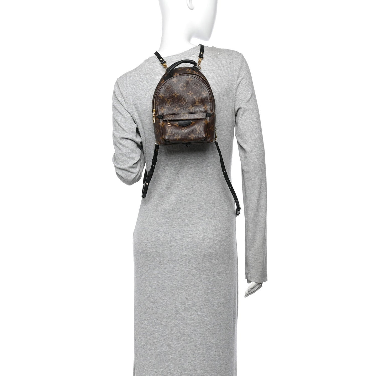 Monogram Palm Springs Backpack Mini