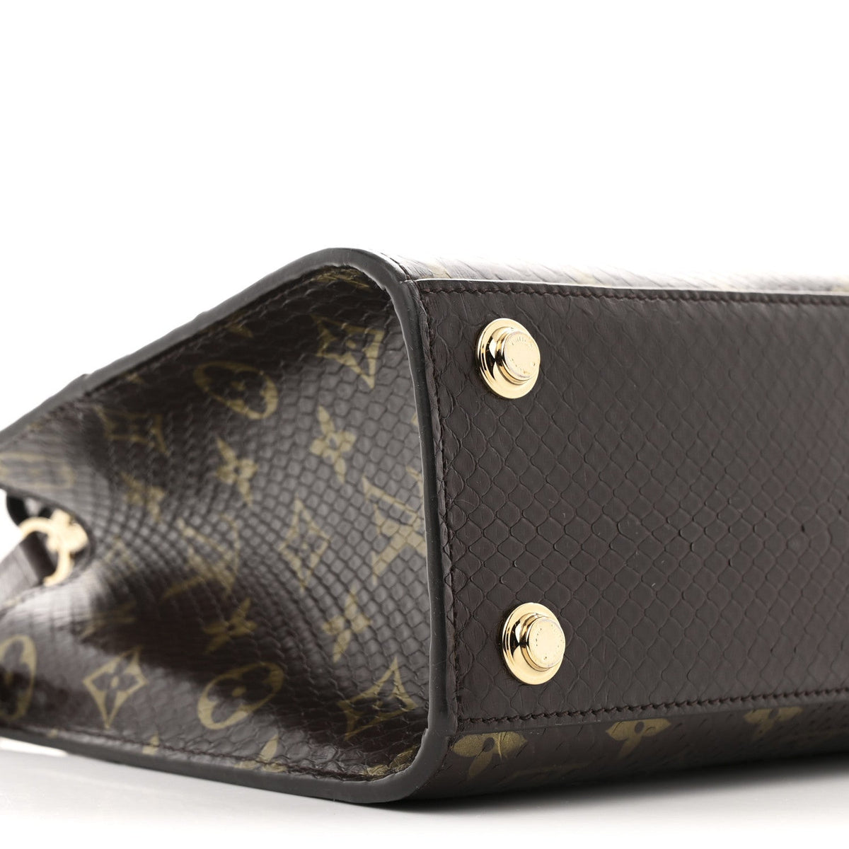 Snakeskin Monogram City Steamer Mini Brown
