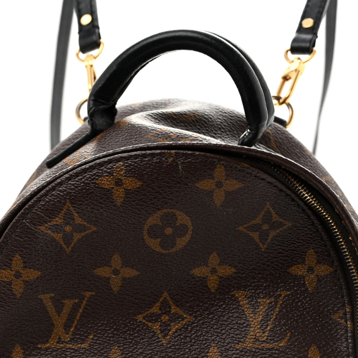 Monogram Palm Springs Backpack Mini