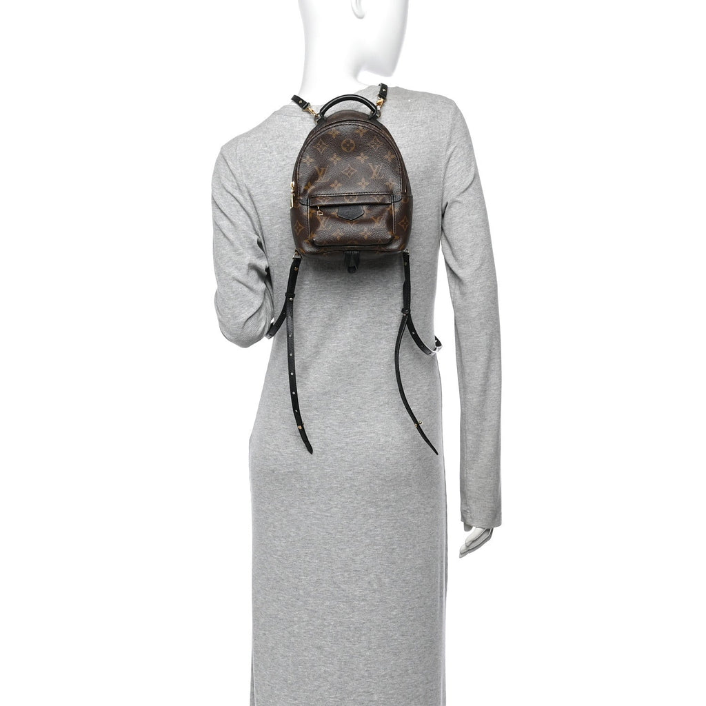 Monogram Palm Springs Backpack Mini