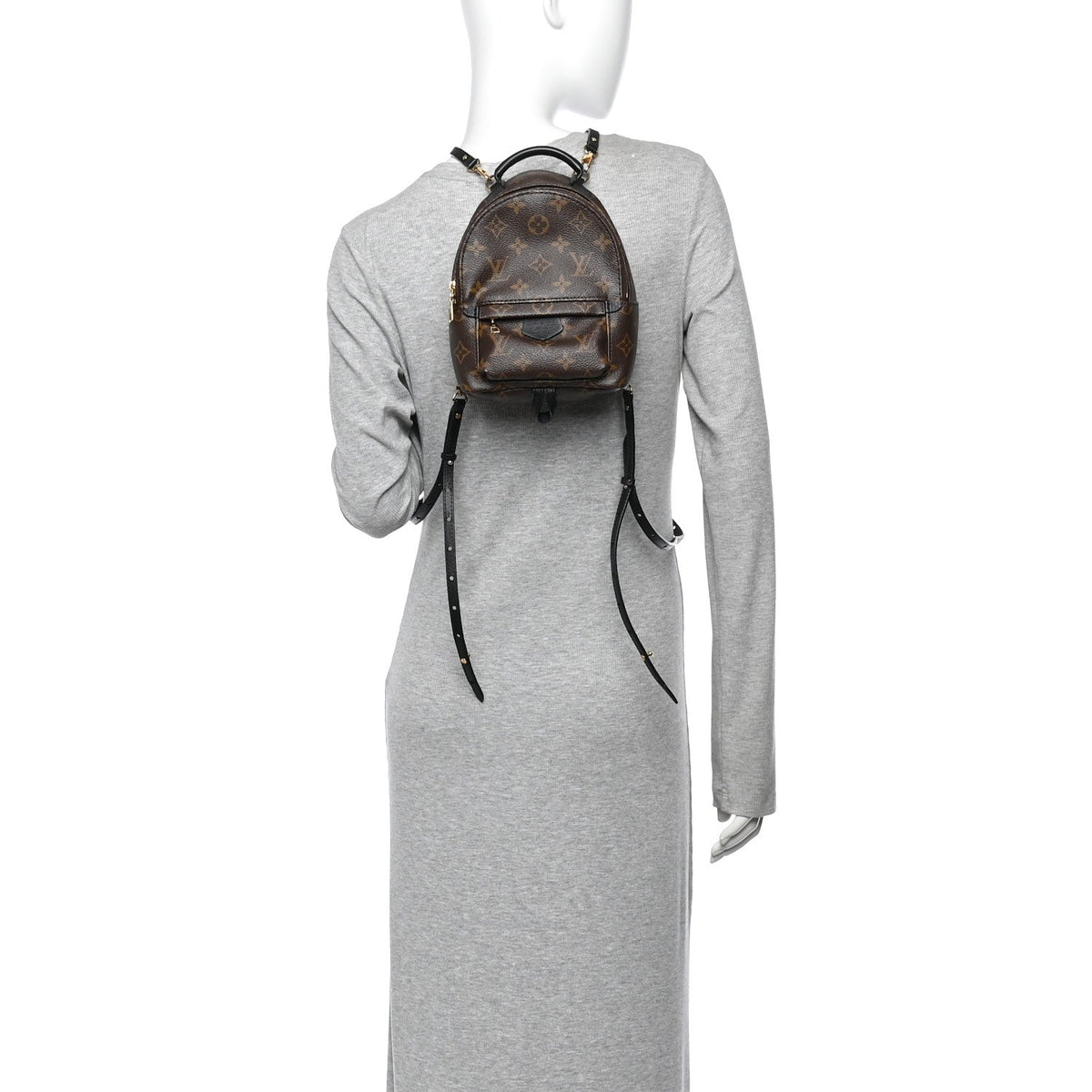 Monogram Palm Springs Backpack Mini