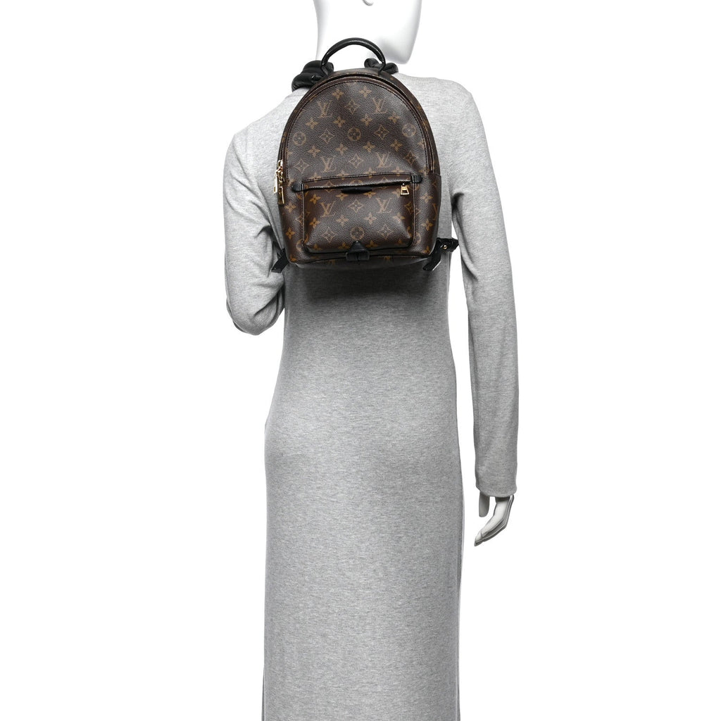 Monogram Palm Springs Backpack PM