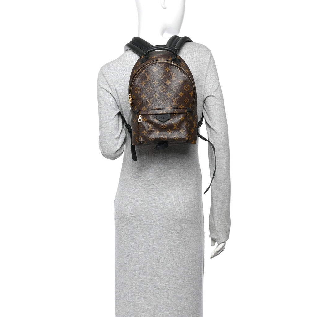 Monogram Palm Springs Backpack PM
