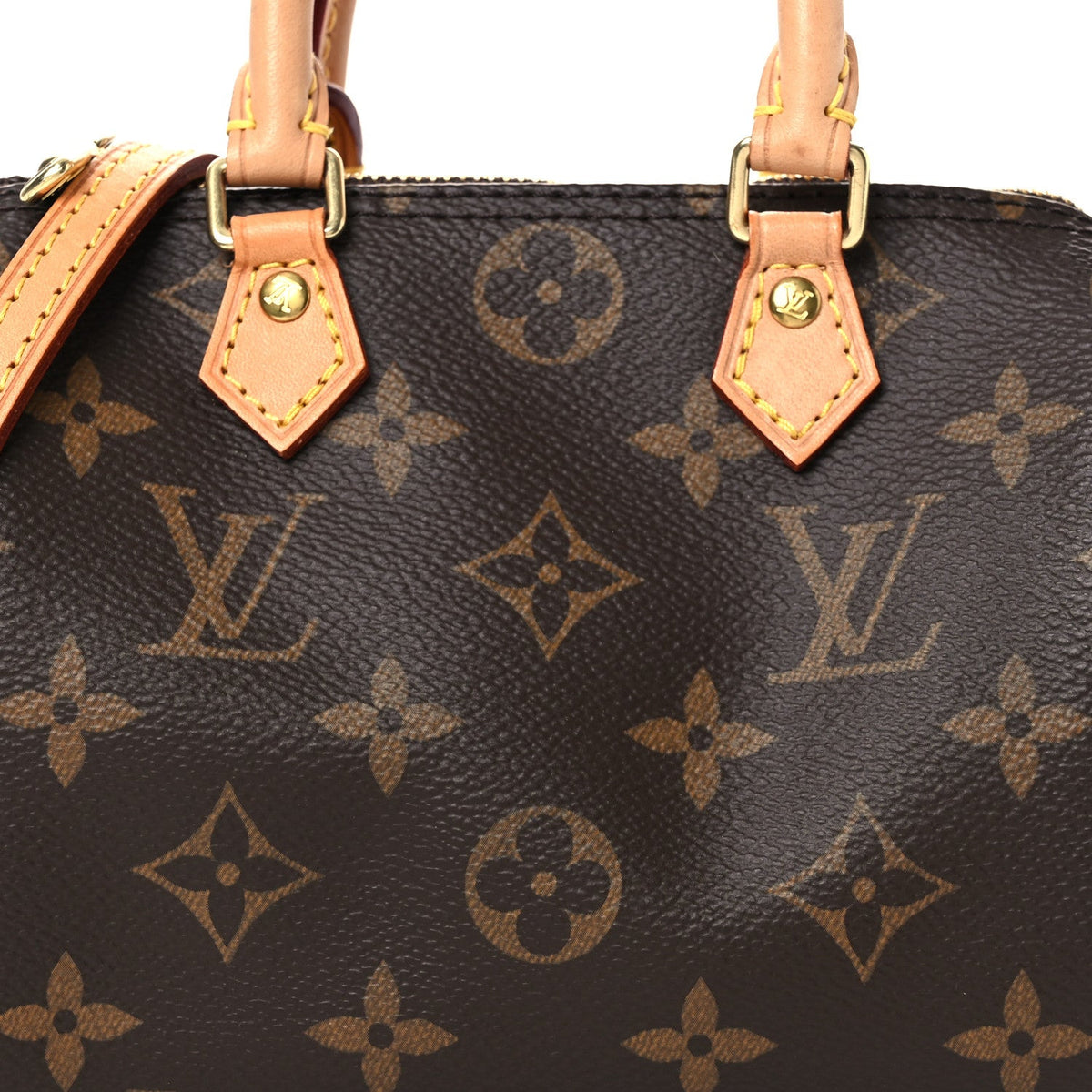 Monogram Nano Speedy