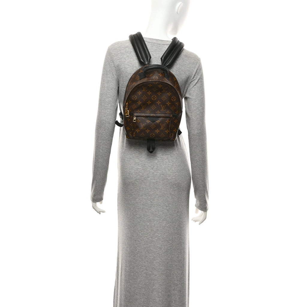 Monogram Palm Springs Backpack PM