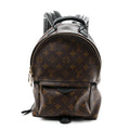 Monogram Palm Springs Backpack PM