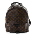 Monogram Palm Springs Backpack MM