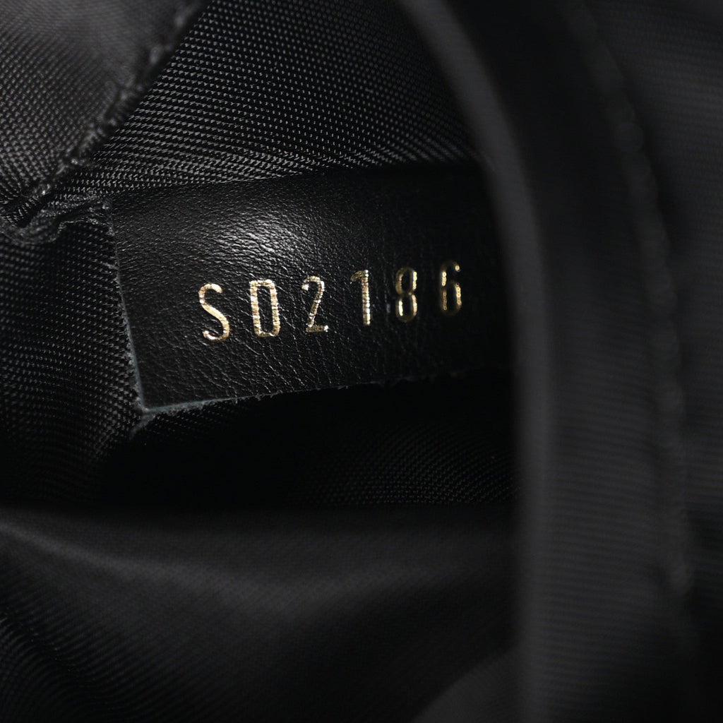 Monogram Palm Springs Backpack Mini