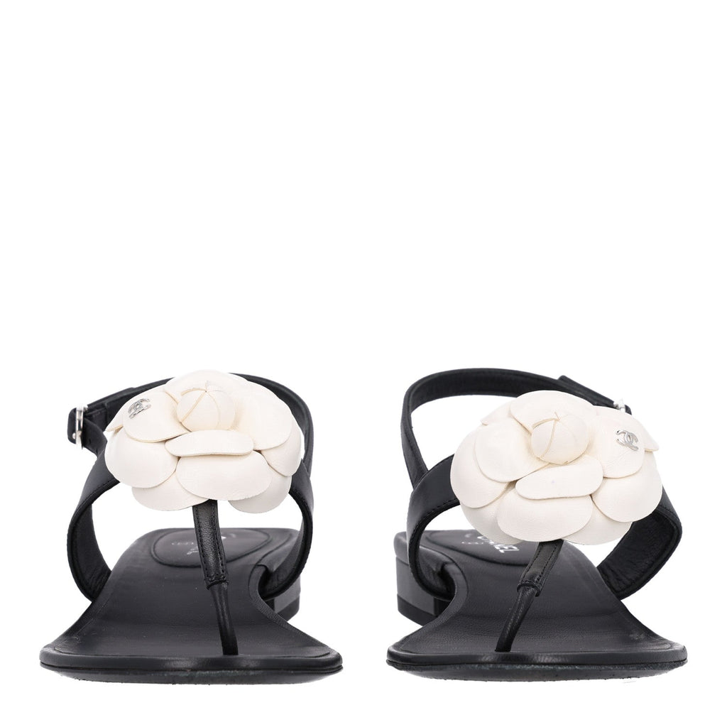 Lambskin Camellia Thong Sandals 36.5 Black White