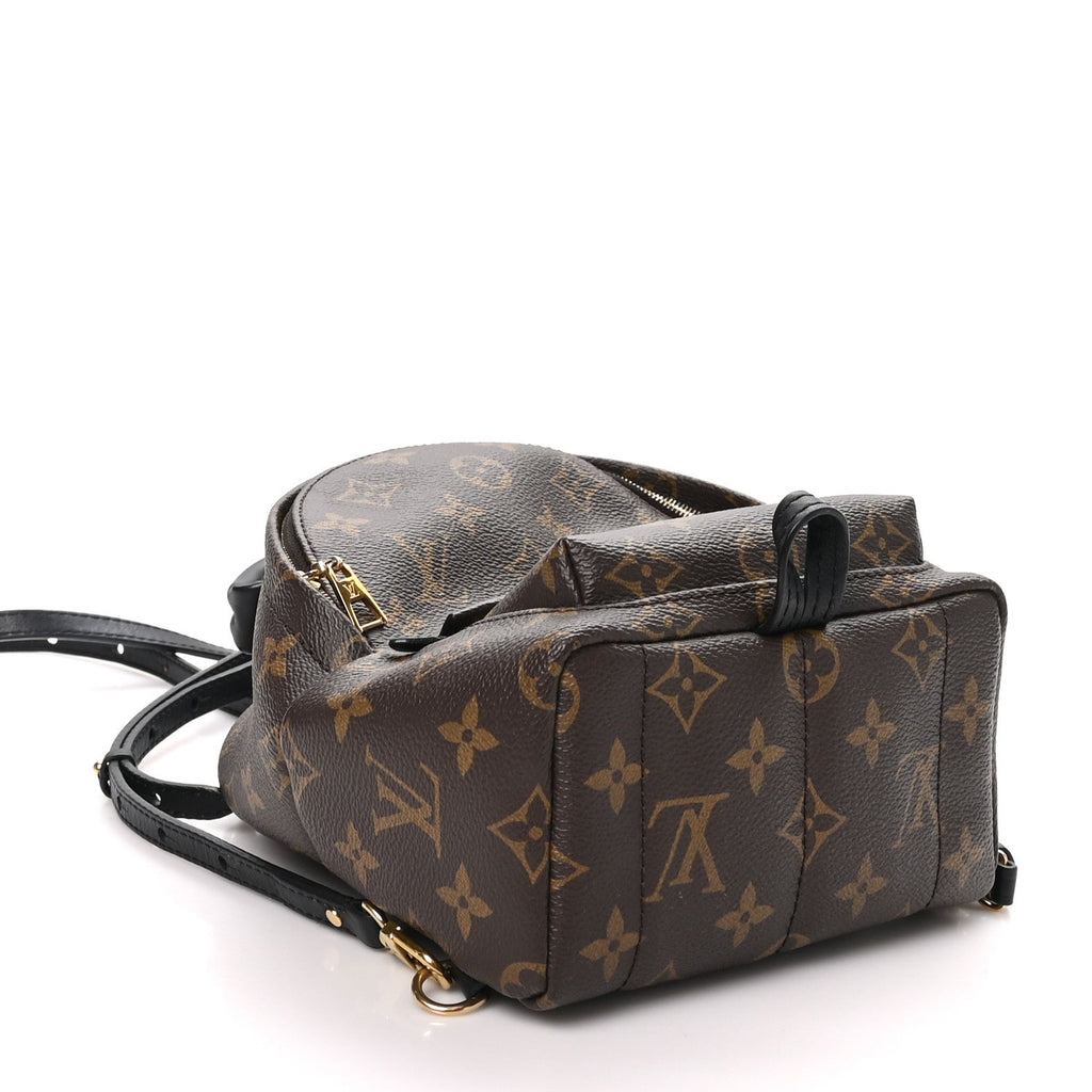 Monogram Palm Springs Backpack Mini