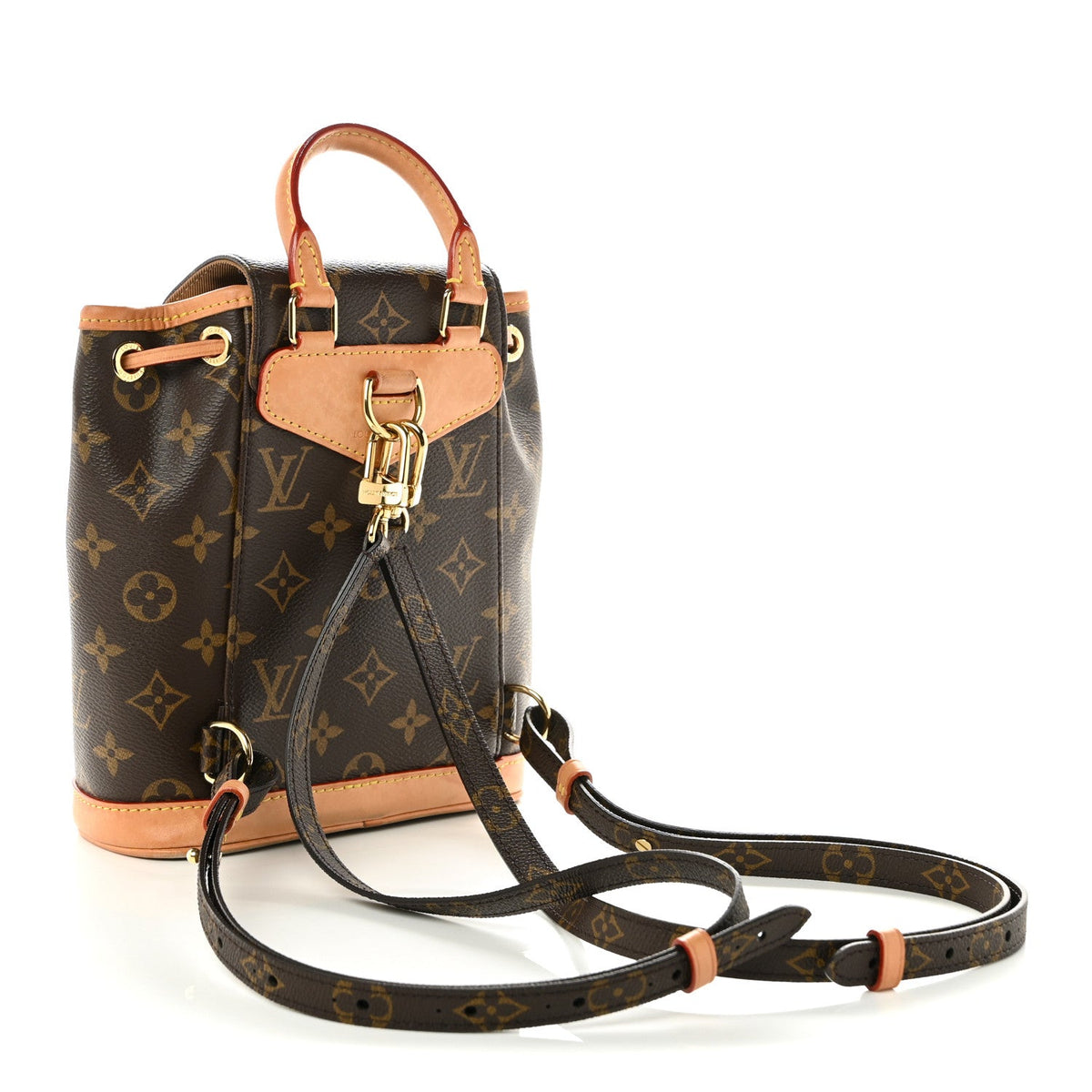 Monogram Montsouris Mini NM