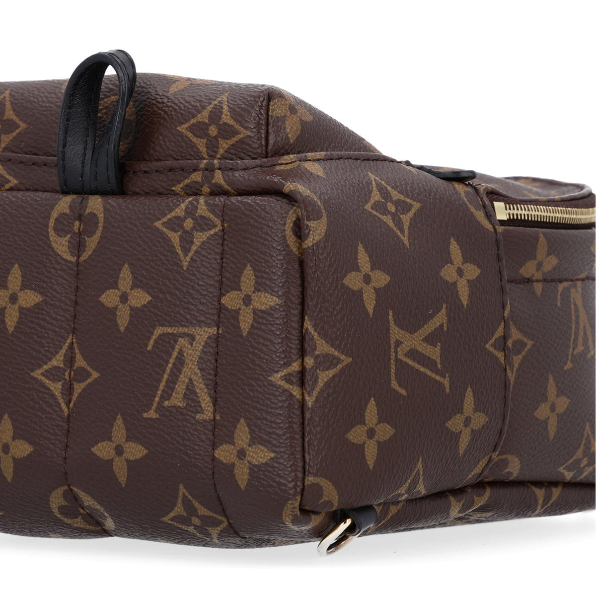 Monogram Palm Springs Backpack Mini