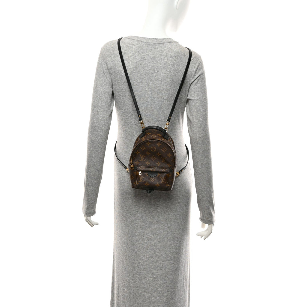 Monogram Palm Springs Backpack Mini