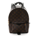 Monogram Palm Springs Backpack PM
