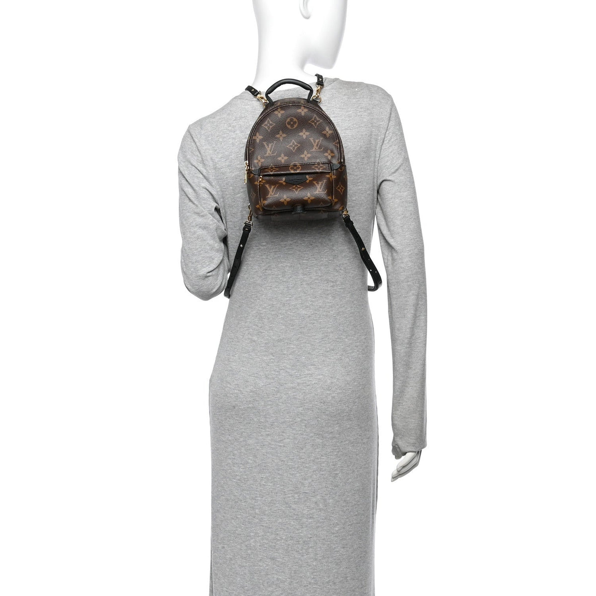 Monogram Palm Springs Backpack Mini