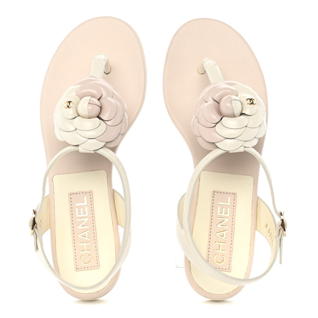 Shiny Calfskin Camellia Thong Sandals 37 Ivory Beige